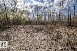 Open wooded lot featuring a cleared central area, numerous deciduous trees, and a distant small structure - 