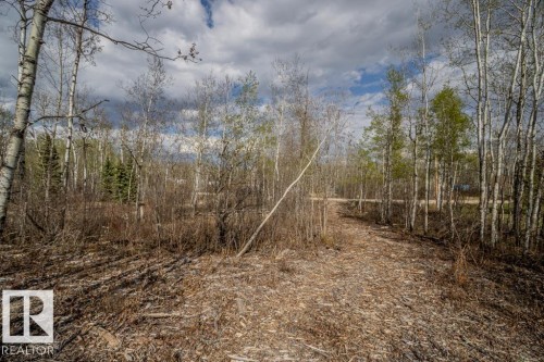 Wooded grounds featuring mature trees and natural landscaping - 513, 11131 Twp Rd 600, Rural St. Paul County, AB 