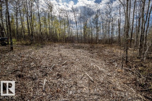 Cleared land surrounded by a dense tree line - 513, 11131 Twp Rd 600, Rural St. Paul County, AB 