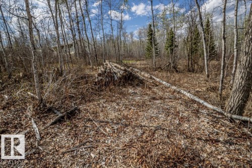 Wooded acreage featuring a mix of deciduous and evergreen trees, a cleared pathway, and a stack of cut timber - 513, 11131 Twp Rd 600, Rural St. Paul County, AB 