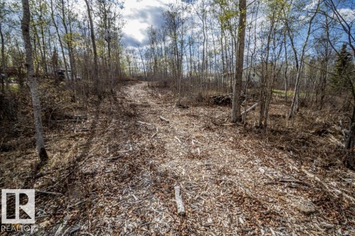 Wooded lot with mature trees and visible clearing - 513, 11131 Twp Rd 600, Rural St. Paul County, AB 