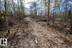 Wooded lot with mature trees and visible clearing - 