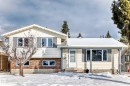 The property features a brick and siding exterior with multiple windows, a covered entrance, and a well-maintained front yard - 8733 181A Street Nw, Edmonton, AB  - Outdoor 