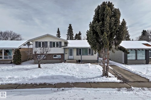 The property features a front yard with a driveway, a mature evergreen tree, and a small deciduous tree - 8733 181A Street Nw, Edmonton, AB - Outdoor