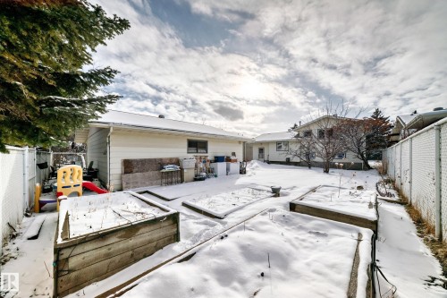 The property features a spacious backyard with established trees, multiple raised garden beds, and a chain-link fence - 8733 181A Street Nw, Edmonton, AB - Outdoor