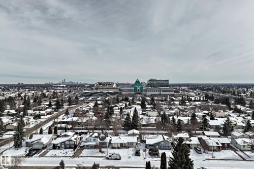 Aerial view of the surrounding neighborhood featuring snow-covered rooftops, mature evergreen trees, and a distant city skyline - 8733 181A Street Nw, Edmonton, AB - Outdoor With View