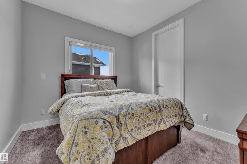 Bright room featuring a window with white trim, gray wall paint, and plush carpet flooring - 1404 25 Street, Edmonton, AB - Indoor Photo Showing Bedroom