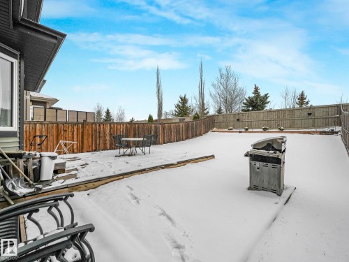 Fenced backyard featuring a wood deck, mature trees, and a spacious lawn area - 21851 80 Avenue, Edmonton, AB - Outdoor