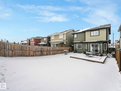 Expansive backyard featuring a solid wooden fence, a ground-level deck, and a two-story residence with a green and dark green exterior - 21851 80 Avenue, Edmonton, AB - Outdoor