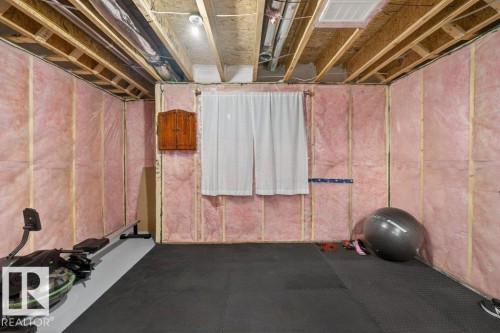 2405 Trumpeter Way, Edmonton, AB - Indoor Photo Showing Basement