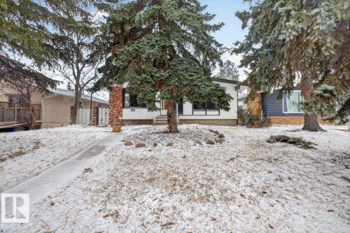 Single-story residence featuring a white facade with dark trim, prominent evergreen trees, and a concrete pathway leading to the entrance - 6018 105A Street, Edmonton, AB 