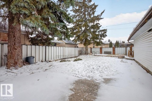 Spacious backyard featuring a privacy fence, mature evergreen trees, and a concrete patio pad - 6018 105A Street, Edmonton, AB 