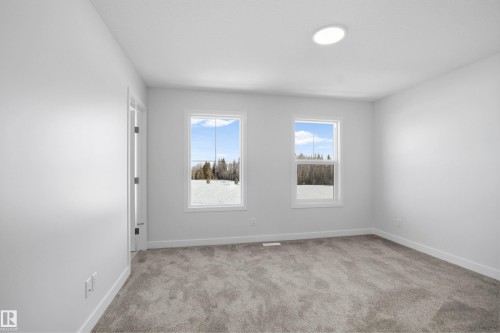 8628 Edgemont Link Link, Edmonton, AB - Indoor Photo Showing Other Room