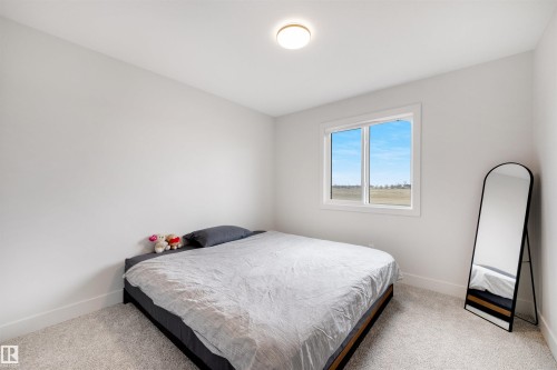 Bright room featuring a large window, plush carpet flooring, white baseboards, and a flush mount ceiling light - 3193 Checknita Way, Edmonton, AB - Indoor Photo Showing Bedroom
