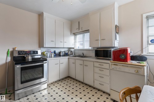 10838 110 Street, Edmonton, AB - Indoor Photo Showing Kitchen With Double Sink