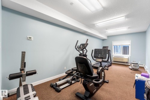 Fitness area featuring various exercise equipment, carpet flooring, light blue walls, and a window providing natural light - #211 4415 48 St, Leduc, AB - Indoor Photo Showing Gym Room