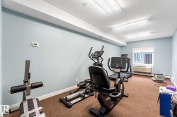 Fitness area featuring various exercise equipment, carpet flooring, light blue walls, and a window providing natural light - 