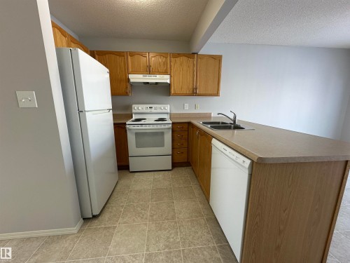 16122 131A Street, Edmonton, AB - Indoor Photo Showing Kitchen With Double Sink