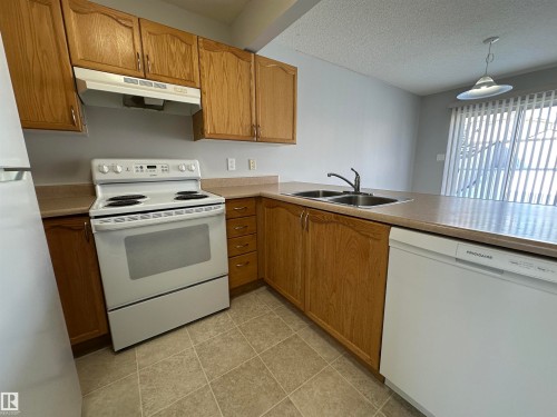16122 131A Street, Edmonton, AB - Indoor Photo Showing Kitchen With Double Sink