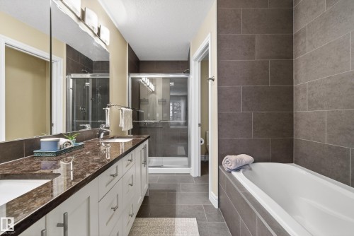 10209 90 Street, Edmonton, AB - Indoor Photo Showing Bathroom