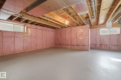 3875 Agar Green, Edmonton, AB - Indoor Photo Showing Basement
