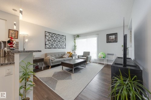 9635 225 Street, Edmonton, AB - Indoor Photo Showing Living Room
