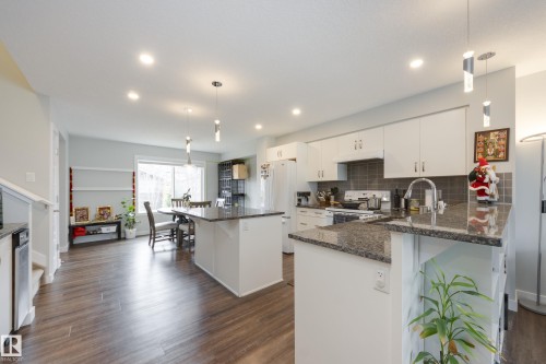9635 225 Street, Edmonton, AB - Indoor Photo Showing Kitchen With Upgraded Kitchen