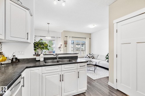 17 3103 Hilton Drive, Edmonton, AB - Indoor Photo Showing Kitchen With Double Sink
