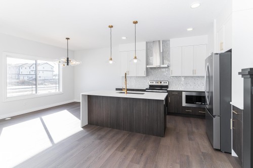 911 18 Avenue, Edmonton, AB - Indoor Photo Showing Kitchen With Upgraded Kitchen