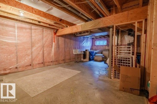 11904 22 Avenue, Edmonton, AB - Indoor Photo Showing Basement