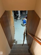 Stairwell featuring carpeted steps and a wood handrail - 