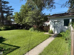 Expansive lawn with mature perimeter trees, featuring a concrete pathway leading to a detached structure with a single door and window - 