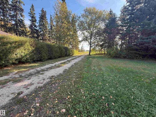 Gravel driveway bordered by manicured hedges and mature trees - 63218 Range Road 254, Rural Westlock County, AB 