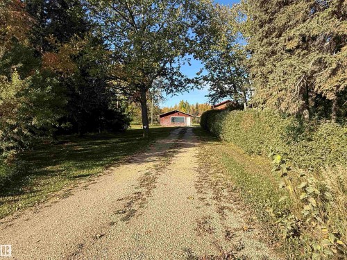 Gravel driveway framed by mature trees and a dense hedge - 63218 Range Road 254, Rural Westlock County, AB 
