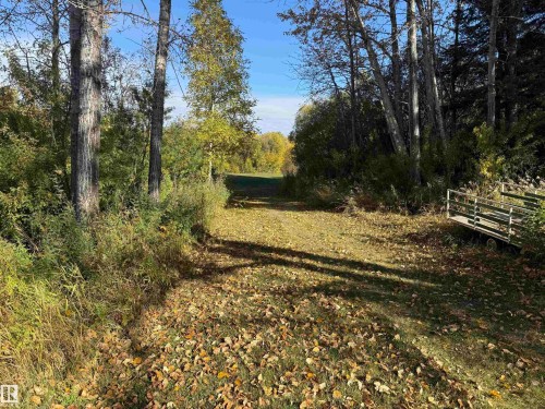Expansive outdoor space featuring a grass and leaf-covered path, mature trees, dense foliage, and a rustic wooden bridge - 63218 Range Road 254, Rural Westlock County, AB 