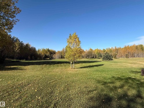 Expansive green lawn with scattered leaves, bordered by mature deciduous trees and evergreen shrubs - 63218 Range Road 254, Rural Westlock County, AB 