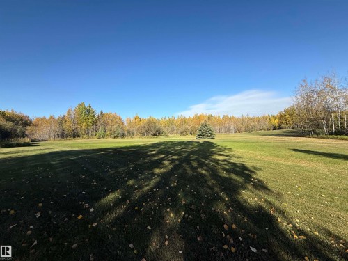 Expansive green lawn with scattered autumn leaves, bordered by a dense line of mature deciduous and evergreen trees, under a clear blue sky - 63218 Range Road 254, Rural Westlock County, AB 