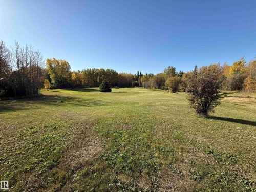 Expansive open field surrounded by mature deciduous trees and a clear sky - 63218 Range Road 254, Rural Westlock County, AB 