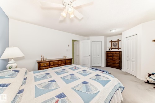Carpeted bedroom featuring a ceiling fan with integrated lighting, a light blue accent wall, and multiple built-in closets with white paneled doors - 17 Springfield Crescent, St. Albert, AB - Indoor Photo Showing Bedroom