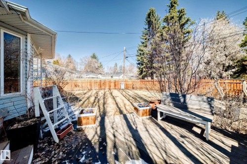 Spacious backyard featuring a wood deck, mature trees, and a wooden privacy fence - 17 Springfield Crescent, St. Albert, AB - Outdoor