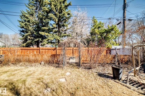 Expansive backyard featuring a stained wood privacy fence and mature evergreen trees - 17 Springfield Crescent, St. Albert, AB - Outdoor
