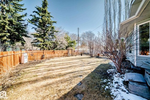 Expansive backyard featuring a new wood privacy fence, mature evergreen trees, and a light-colored siding exterior with a white trim window - 17 Springfield Crescent, St. Albert, AB - Outdoor
