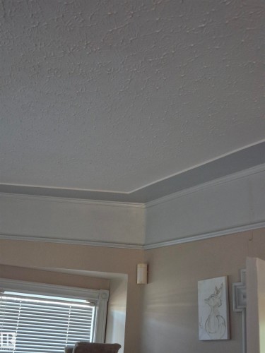 Tray ceiling featuring crown molding and textured finish - 11301 87 Street, Edmonton, AB - Indoor Photo Showing Other Room