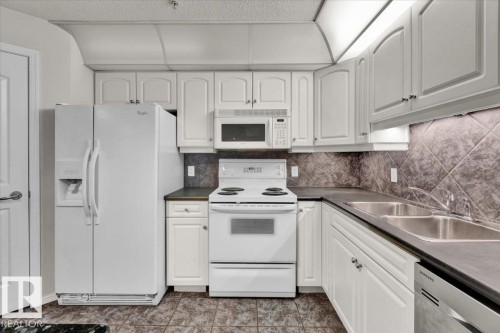 103 9008 99 Avenue, Edmonton, AB - Indoor Photo Showing Kitchen With Double Sink