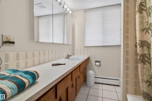 9732 75 Avenue, Edmonton, AB - Indoor Photo Showing Bathroom