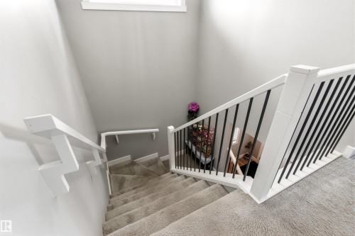 Carpeted staircase with white balusters and black metal spindles - 9812 224 Street, Edmonton, AB - Indoor Photo Showing Other Room