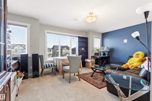 Carpeted living area featuring a large window with blinds, a prominent accent wall, and a ceiling-mounted light fixture - 9812 224 Street, Edmonton, AB - Indoor