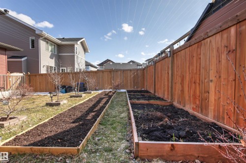 Fenced backyard featuring two raised garden beds, a manicured lawn, and planted trees - 9812 224 Street, Edmonton, AB - Outdoor