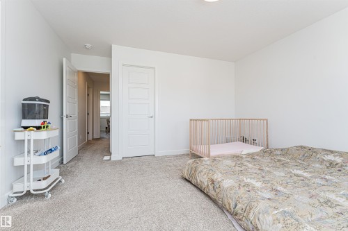 Neutral-toned carpeting and white walls create a bright, open interior - 3367 Erlanger Bend, Edmonton, AB - Indoor Photo Showing Bedroom