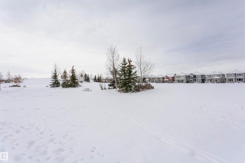 Expansive snow-covered outdoor space featuring scattered evergreen trees and deciduous trees - 16420 15 Avenue, Edmonton, AB - Outdoor With View